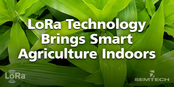 LoRa在卡尔加里推出室内智能农业
