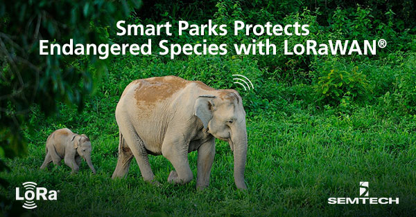 使用LoRaWAN®智能公园保护濒危物种