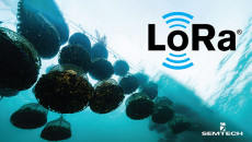 Semtech宣布在ICT国际牡蛎养殖解决方案中集成Lorawan®