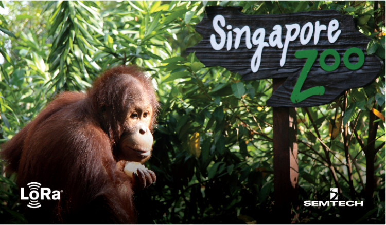 Semtech和Sindcon携手LoRaWAN®为新加坡动物园带来智能计量